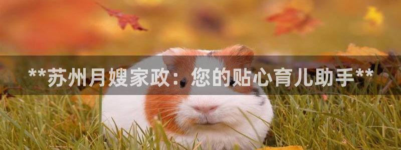杏悦官方平台是正品吗