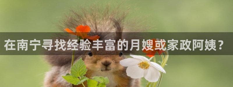 杏悦官网注册信息在哪里找