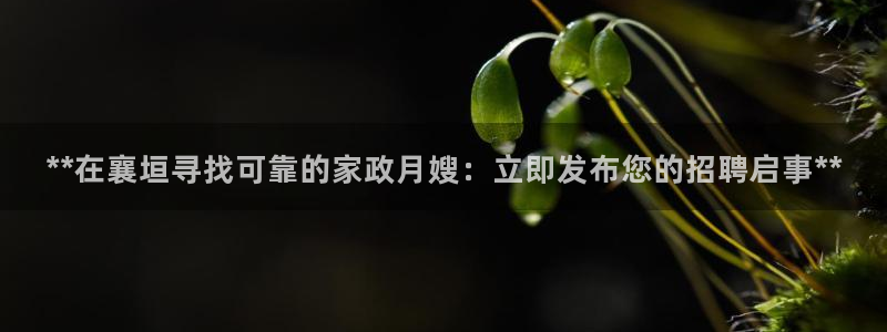 杏悦平台可靠吗是真的吗