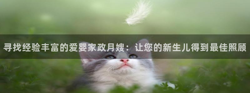 杏悦娱乐注册平台官网