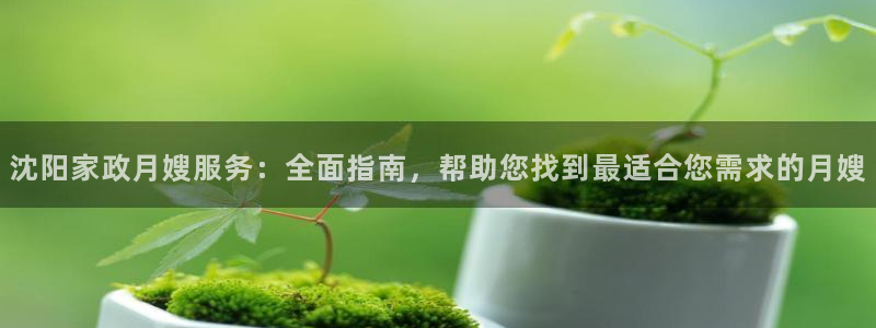 杏悦平台登陆