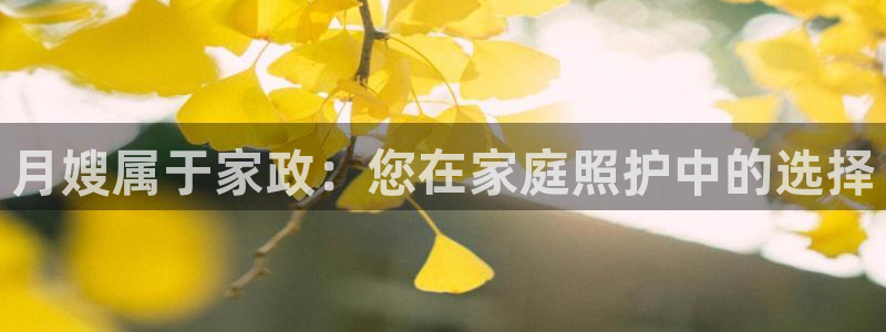 杏悦官网登录入口网址