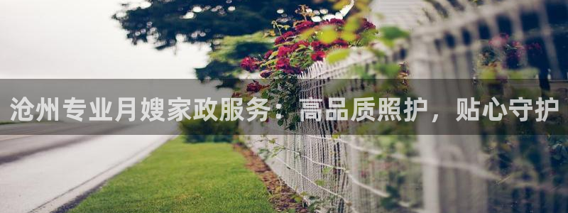 杏悦平台