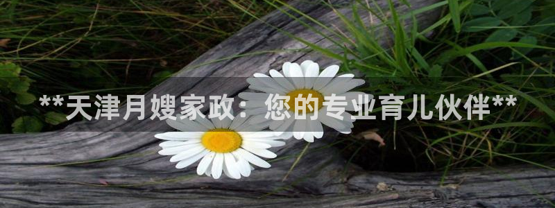 杏悦平台招商怎么样
