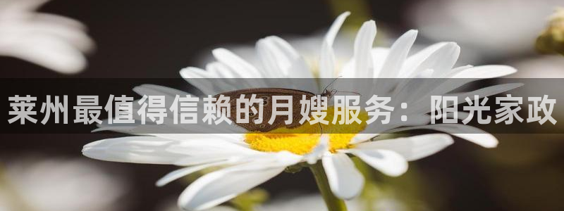 杏悦平台官网注册账号
