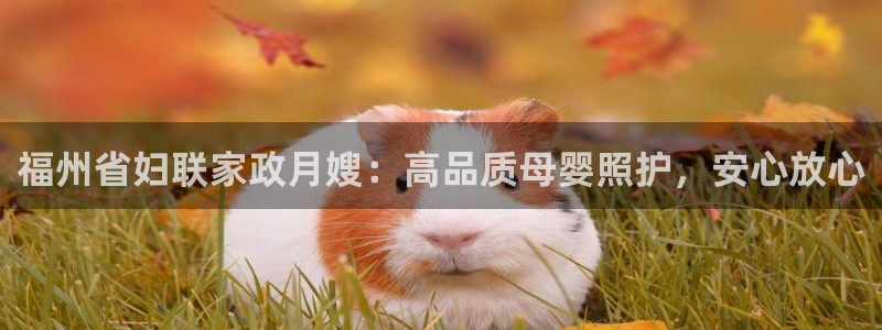 杏悦官网注册信息是什么样的