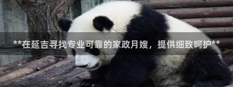 杏悦平台代理注册