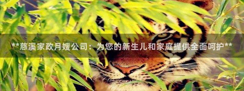杏悦平台如何