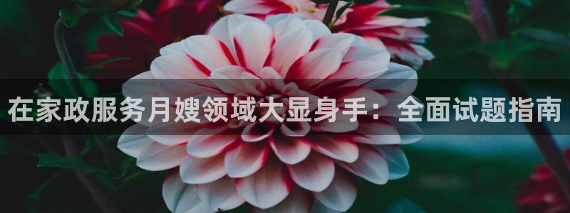 杏悦官网注册信息是什么样的