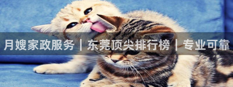 杏悦平台可靠吗是真的吗