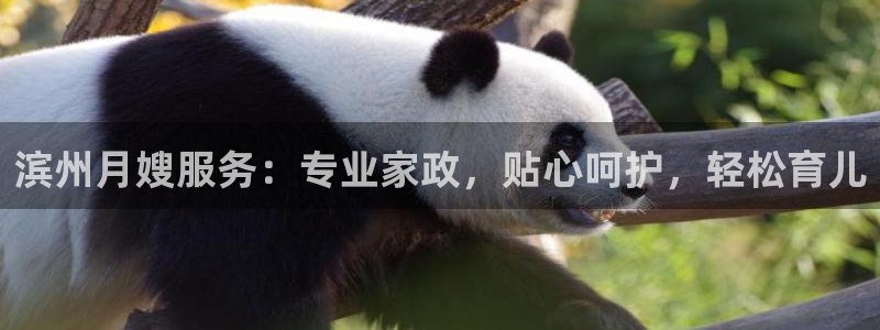 杏悦注册官网