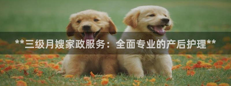 杏悦主管