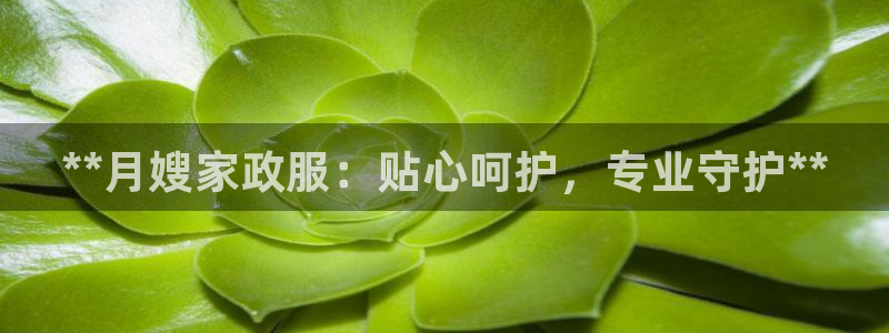 杏悦平台可靠吗可信吗是真的吗