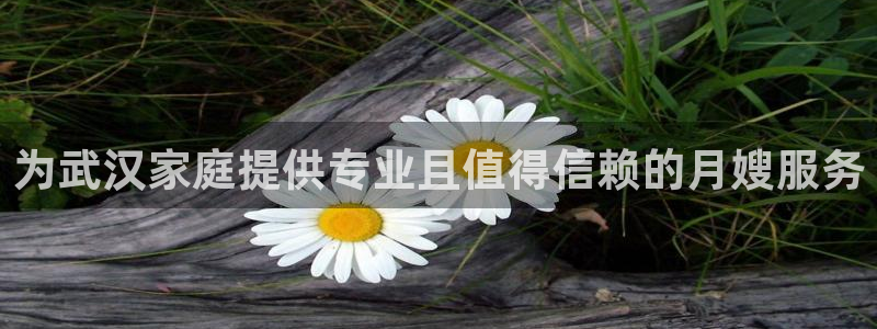 杏悦平台主管