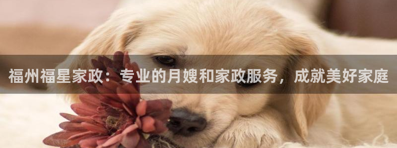 杏悦平台代理