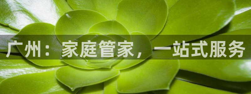 杏悦 -首选推荐平台