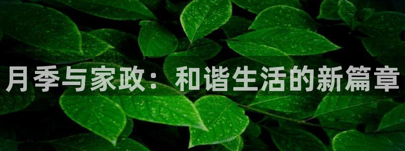 杏悦平台可靠吗
