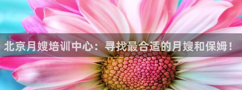 杏悦平台代理怎么样