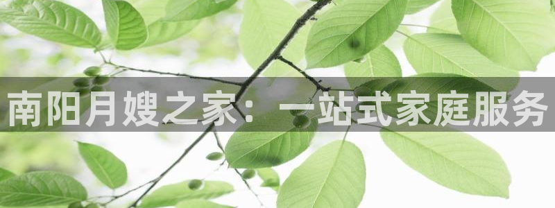 杏悦是什么