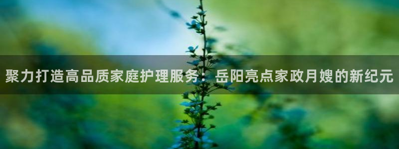 杏悦 -首选推荐平台