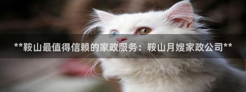 杏悦平台可靠吗可信吗知乎