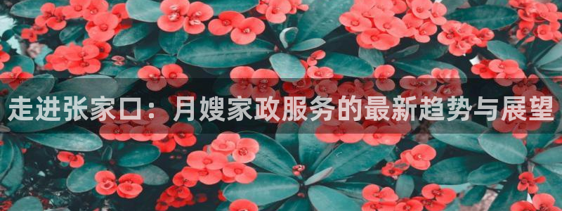 杏悦官网