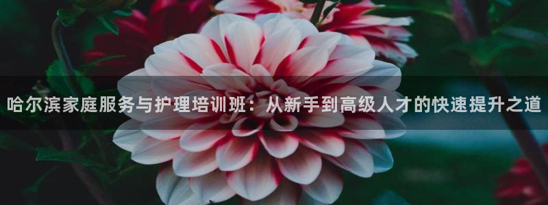 杏悦平台可靠吗可信吗是真的吗