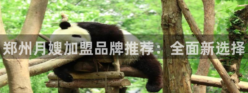 杏悦是什么