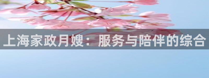 杏悦平台代理