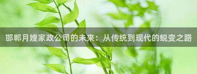 杏悦平台招商