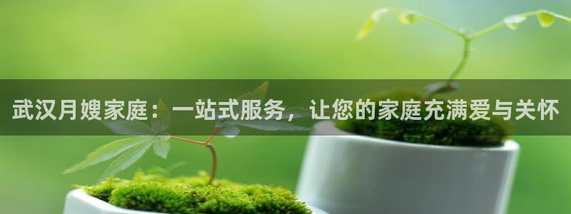 杏悦平台开户地址