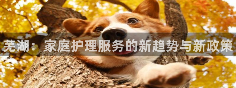 杏悦娱乐平台靠谱吗
