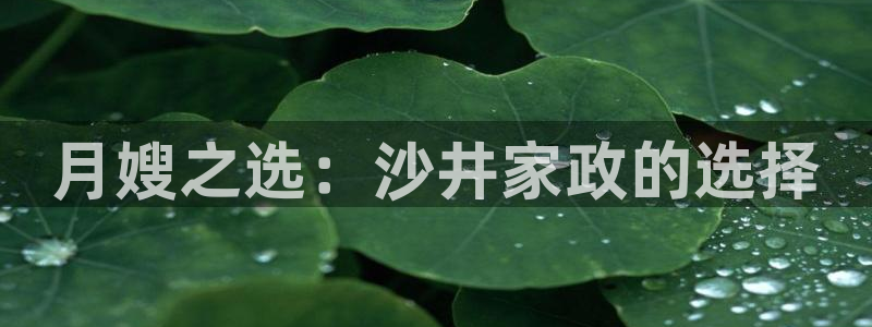 杏悦平台公司介绍