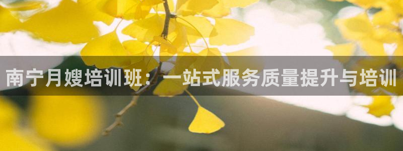 杏悦官网注册信息是什么样的