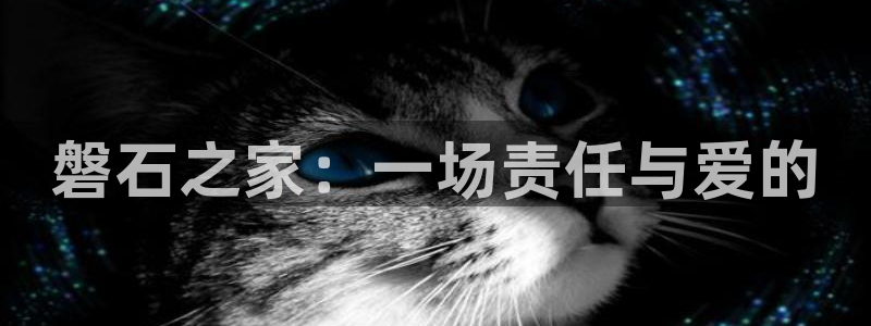 杏悦平台代理怎么样