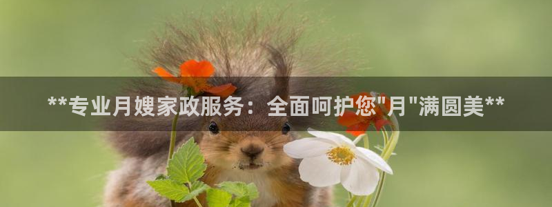 杏悦登录网址是什么