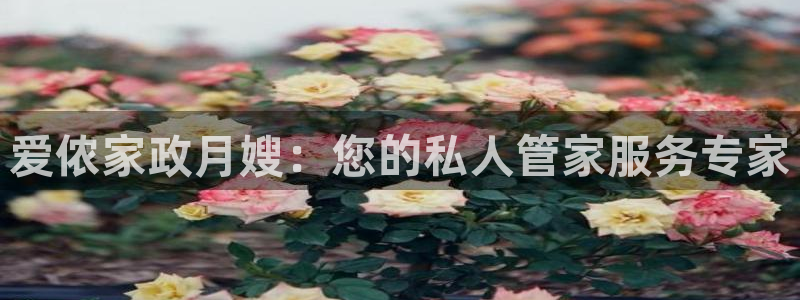 杏悦娱乐平台靠谱吗