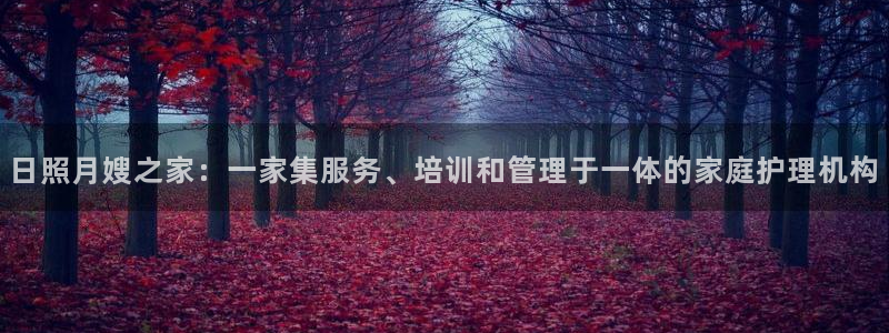 杏悦平台代理怎么赚钱的