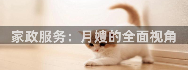 杏悦平台代理多少钱