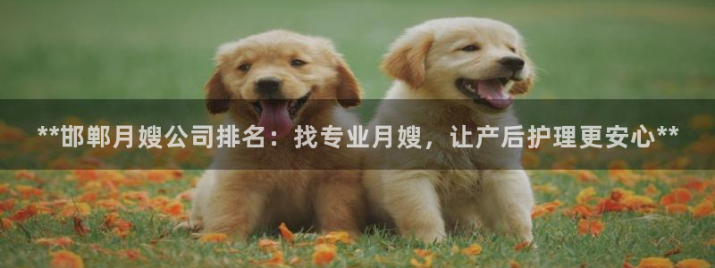 杏悦平台代理怎么做赚钱