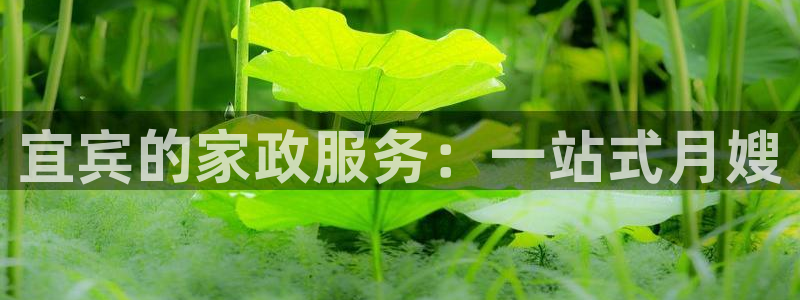 杏悦官网注册信息在哪里查看