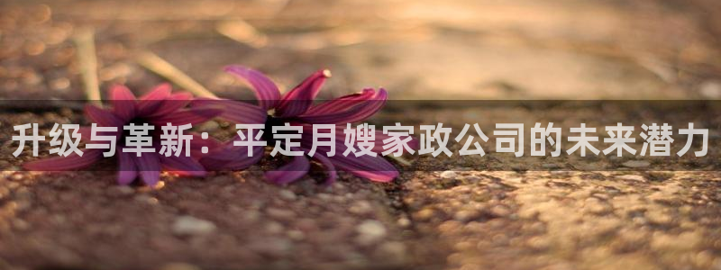 杏悦平台可靠吗可信吗