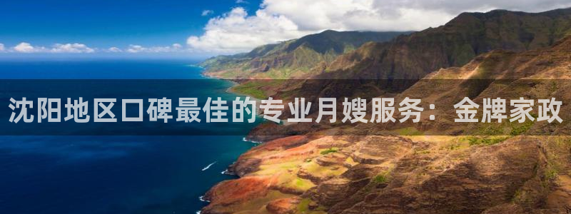 杏悦平台代理注册