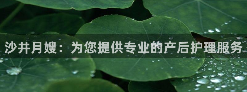 杏悦官网登录入口网址是什么