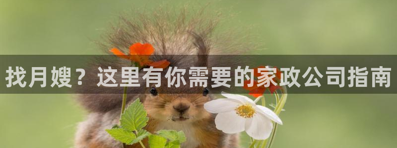 杏悦娱乐注册平台怎么样