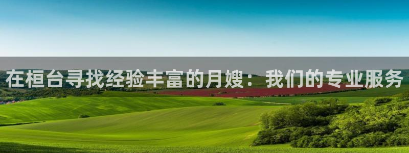 杏悦平台登录入口官网