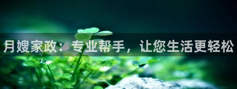 杏悦平台代理注册