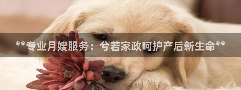 杏悦平台可靠吗可信吗