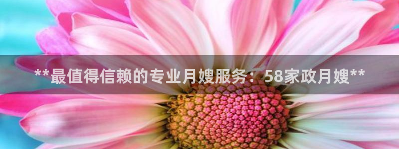 杏悦平台代理注册要钱吗