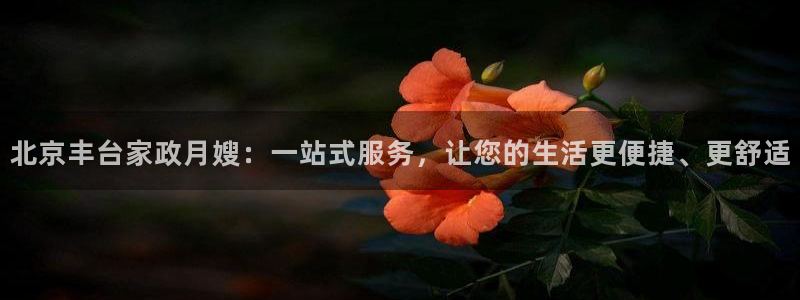 杏悦平台登录地址在哪里